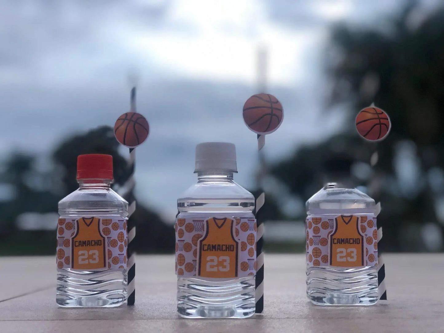 Basketball Birthday Party Decorations – Custom Favor Boxes, 3D Letters, Banner, Plates & Water Labels Mi tienda