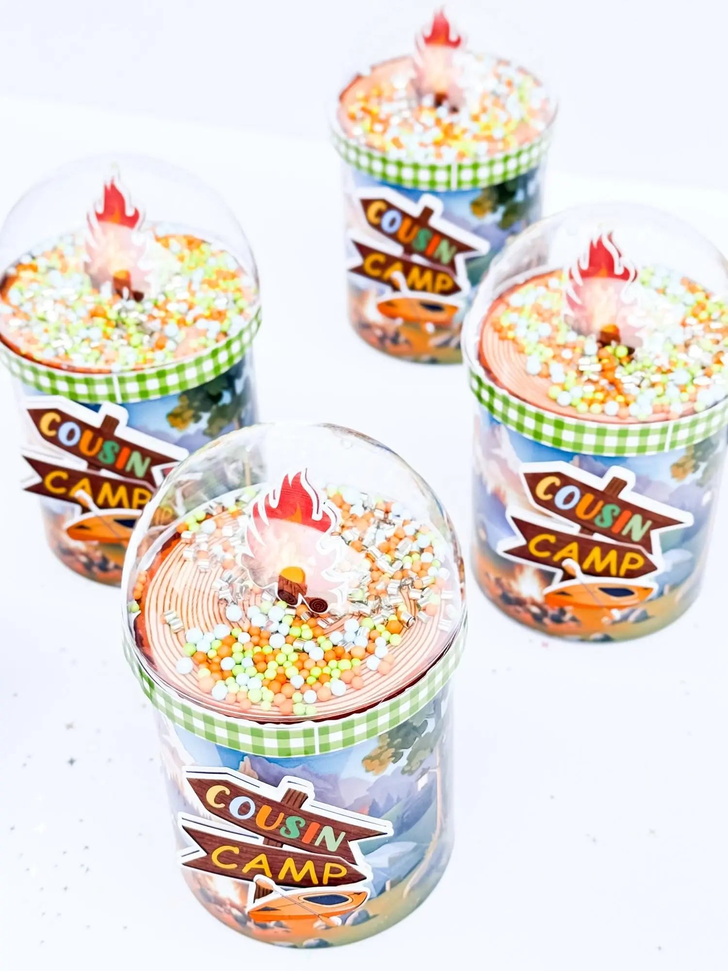 Camping Birthday Party Favors – Personalized Pringles Snacks, Campfire Theme Birthday Supplies, Outdoor Party Decor Mi tienda