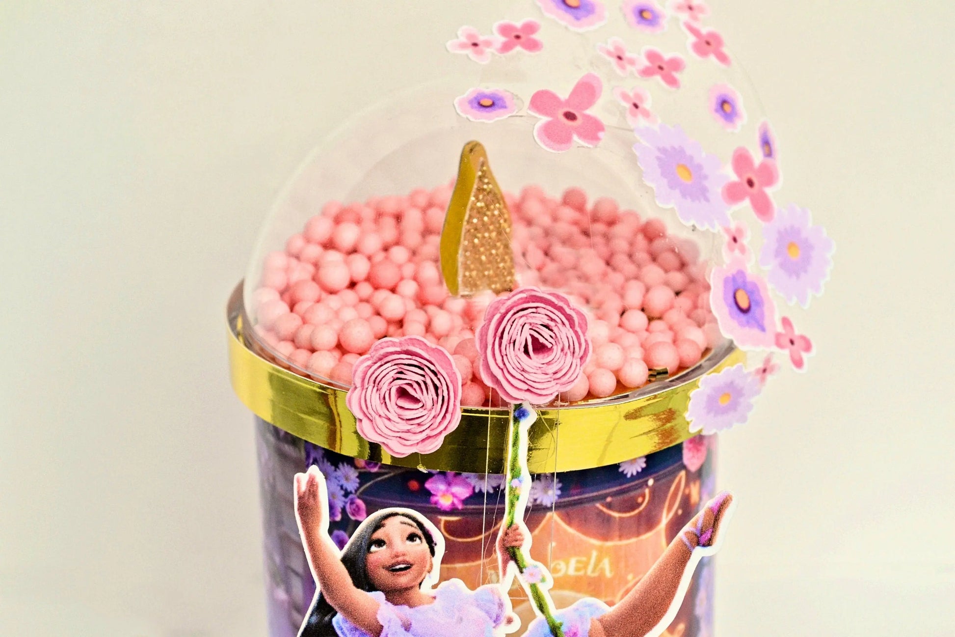 Encanto Party Favors, Encanto Party Decorations, Encanto Potatoes Chips Can, Encanto Birthday, Encanto Theme Party Mi tienda