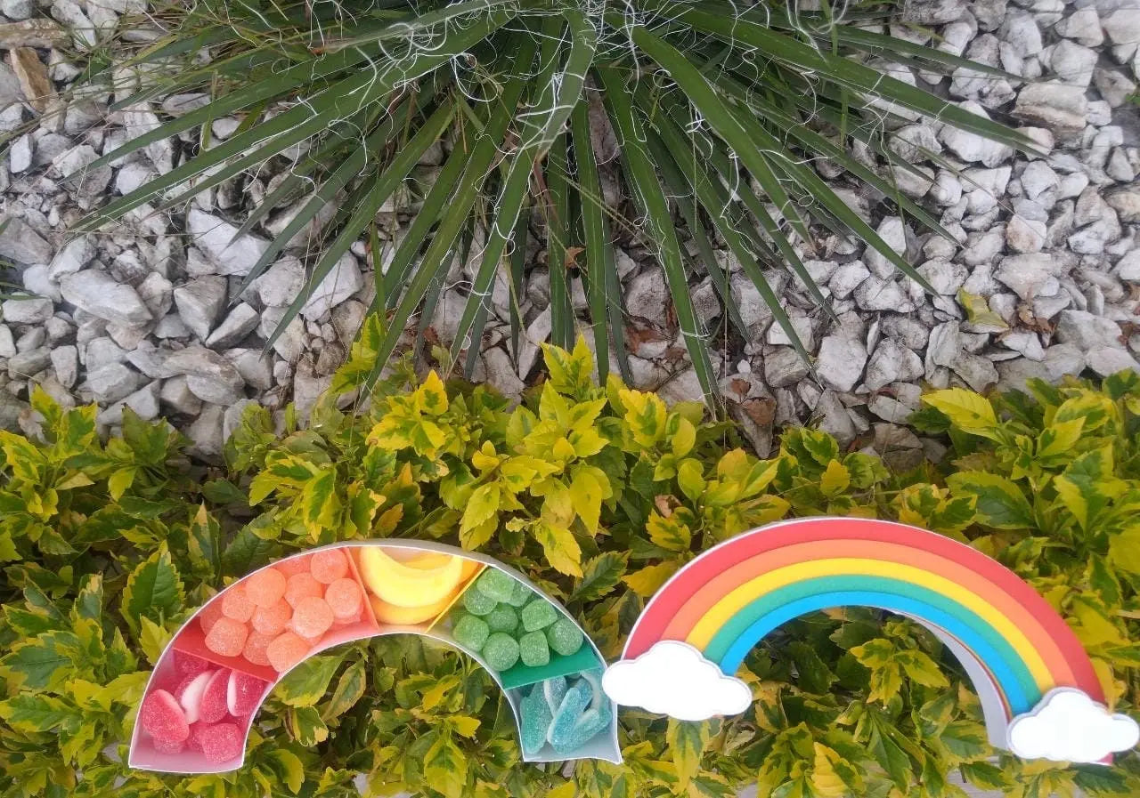 Rainbow Favor Box – Empty Candy Box for Rainbow Theme Birthday or Baby Shower Mi tienda